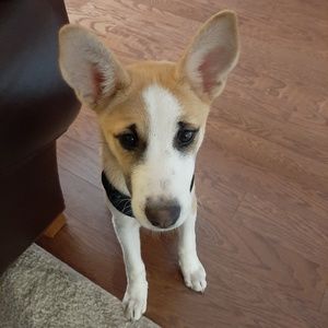 Meet your Posher, Patricia